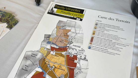 DECANTER - Parts of Pouilly-Loché and Pouilly-Vinzelles set to obtain premier cru status - 2022