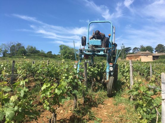 Jean-Philippe on a high-clearance tractor