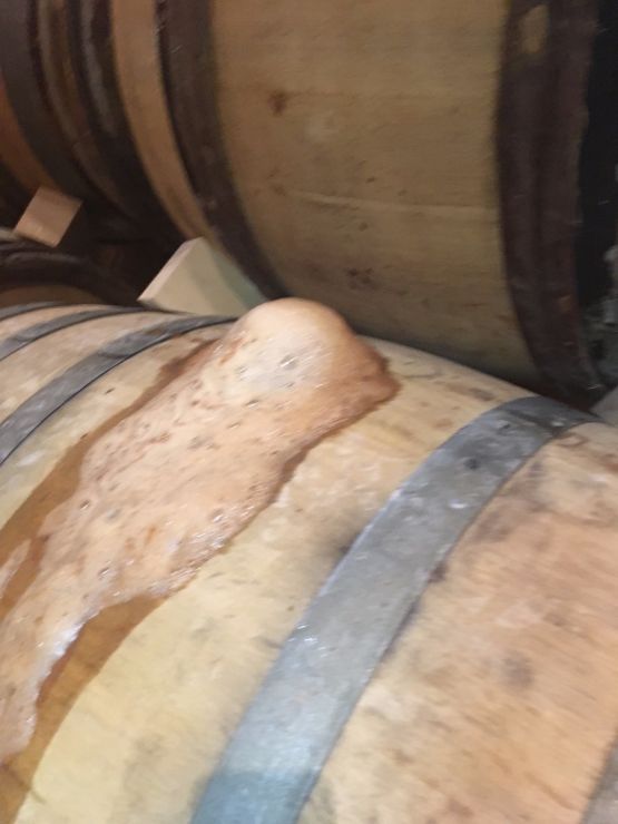 Vendanges 2017 suite