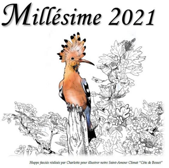 Le Millésime 2021 bientôt en vente 