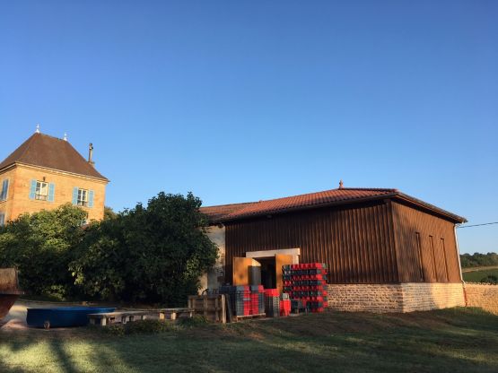 Vendanges 2017 suite