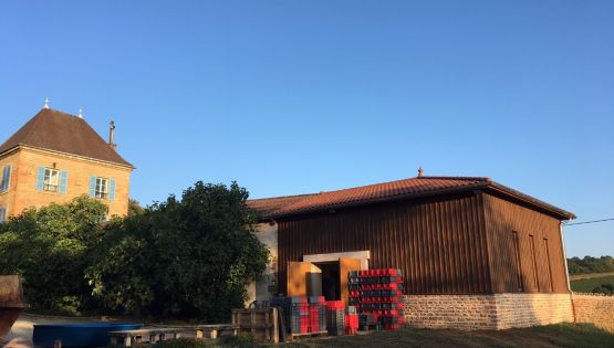 Vendanges 2017 suite