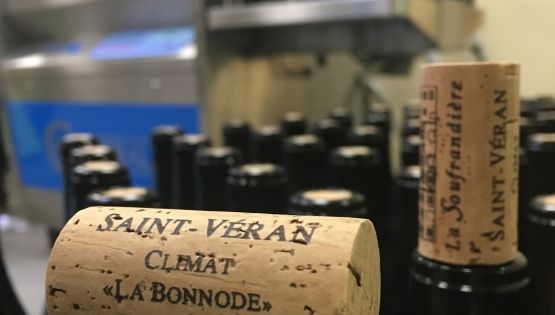 Les Grandes cuvées 2016 arrivent!!!