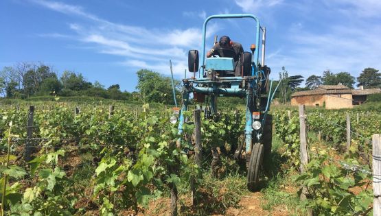 Jean-Philippe on a high-clearance tractor