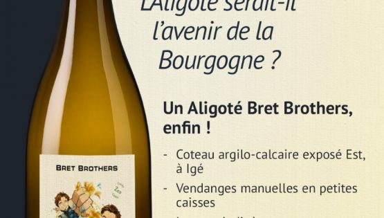 Nouvelle cuv&eacute;e bient&ocirc;t disponible : Aligot&eacute; "Punchy" 2025