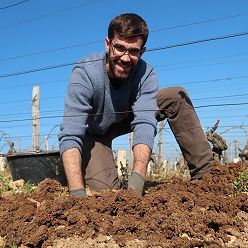 Thomas BRECHET Monsieur "Vignes", les greffes n'ont pas de secret pour lui