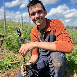 YOUeN DANO De la vigne à la cave! Vive le vignoble Breton!