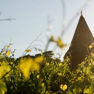 Clocheton in background