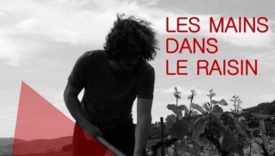 LES MAINS DANS LE RAISIN - PODCAST EPISODE 7 - 2023