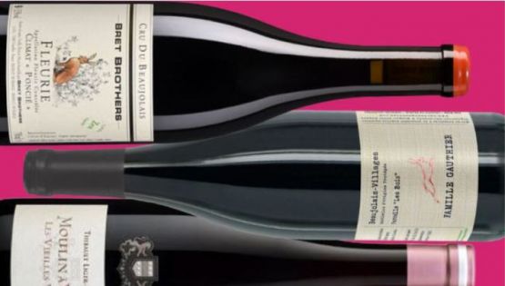 DECANTER - Charles Curtis MW - 2025