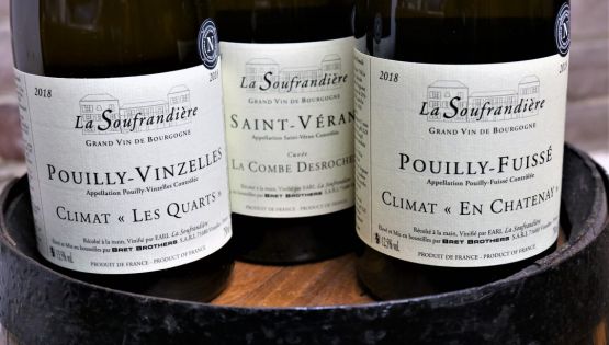 TASTING THE WINES OF DOMAINE LA SOUFRANDIÈRE - Jacky Blisson - 2021