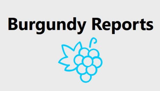 Burgundy Report - 2019