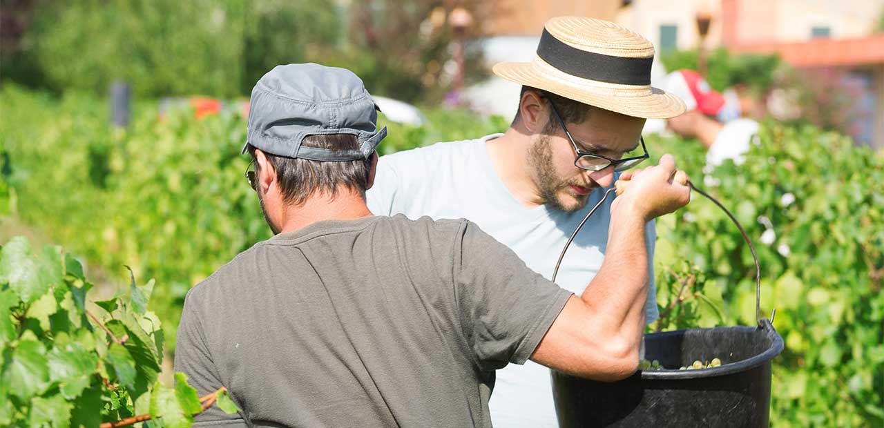 JGui de dos et Jules