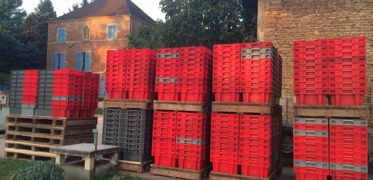 Our 380 harvest cases !