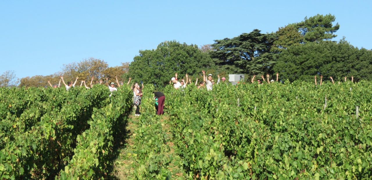 2015 pickers team. Great team, thank you all !