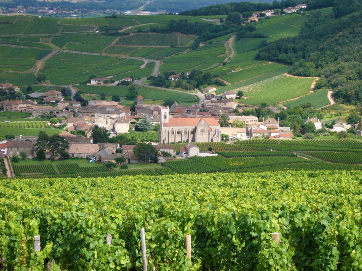Parcelle vin - Pouilly-Fuissé Cuvée  « Terres de Fuissé » Bret Brothers