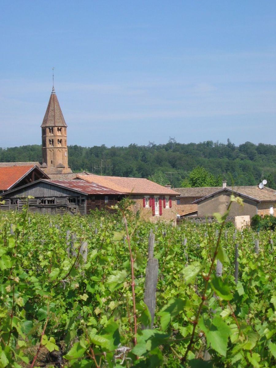 Parcelle vin - Pouilly-Loché Climat « La Colonge » Bret Brothers