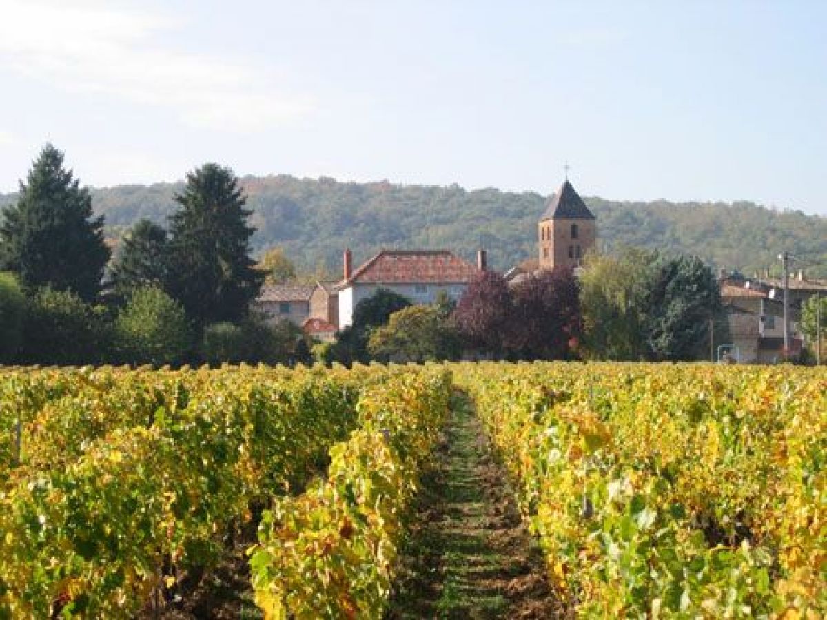 Parcelle vin - Mâcon-Vinzelles « Le Clos de Grand-Père » La Soufrandière