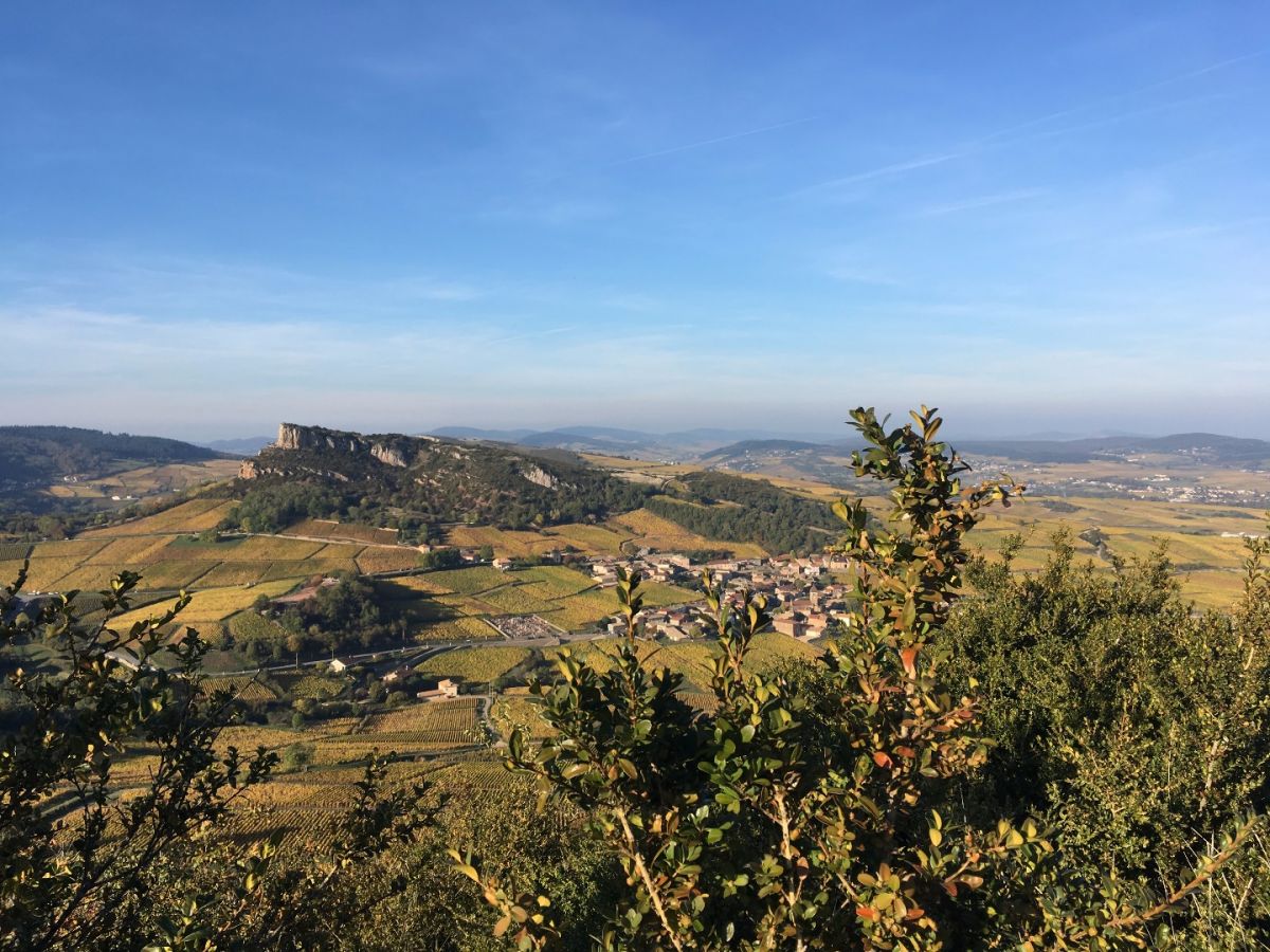 Parcelle vin - Pouilly-Fuissé 1er Cru Climat « Au Vignerais » La Soufrandière